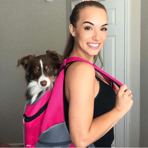 🔥Summer Hot Sale 🔥2026 Summer Dog Backpack