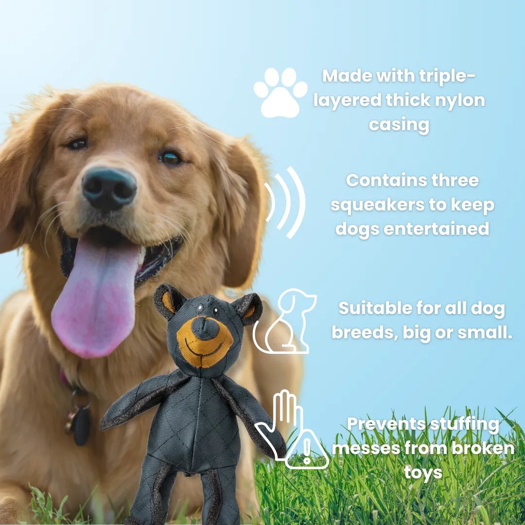 BearTough – Indestructible Fun for a Happy and Healthy Dog