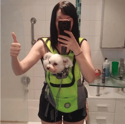 🔥Summer Hot Sale 🔥2026 Summer Dog Backpack