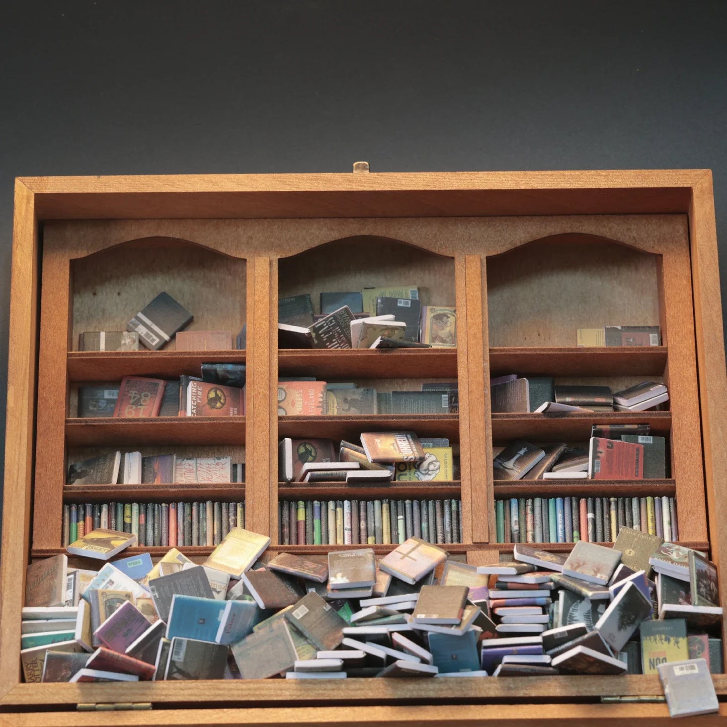 📕Anxiety Bookshelf | Shake Away Your Anxiety
